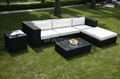 Wicker Rattan sofa  1