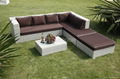 Rattan sofa  1