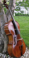 cello