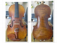 violin