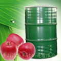 apple puree concentrate 1