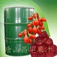 Strawberry  Puree Concentrate