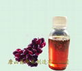 Grape juice concentrate 1