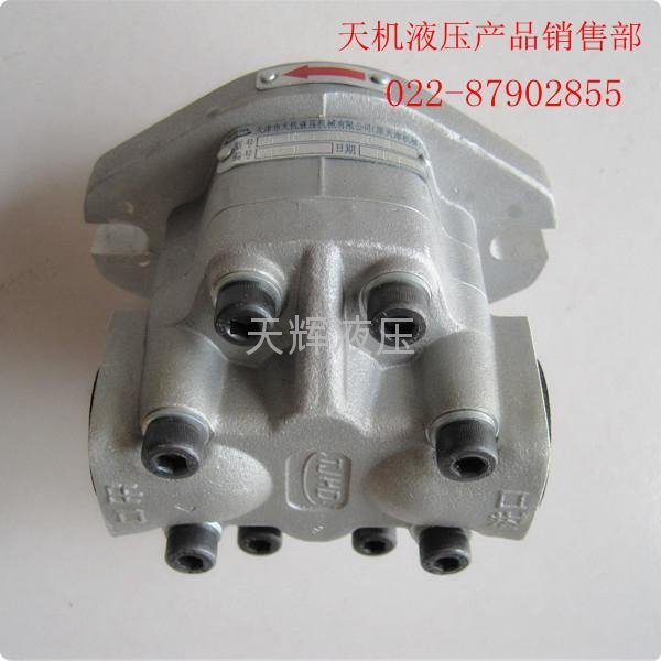 天津天輝天機液壓G5系列高壓齒輪泵 4