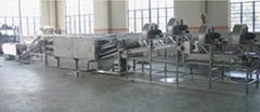 washing machine for fruit and vegetable 
