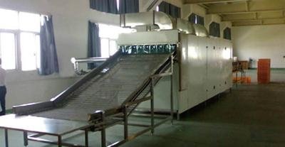 drying machine for vegetable and fruit 