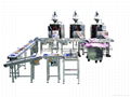 Automatic Packing Production And Bag Arranging System -LB450 1