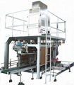 FCF-25B Automatic Bag-Given Powder Packing Line 1