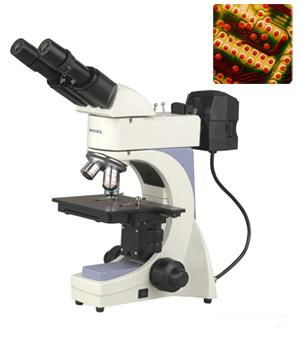 BS-6000A Metallurgical Microscope