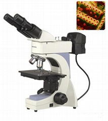 BS-6000A Metallurgical Microscope