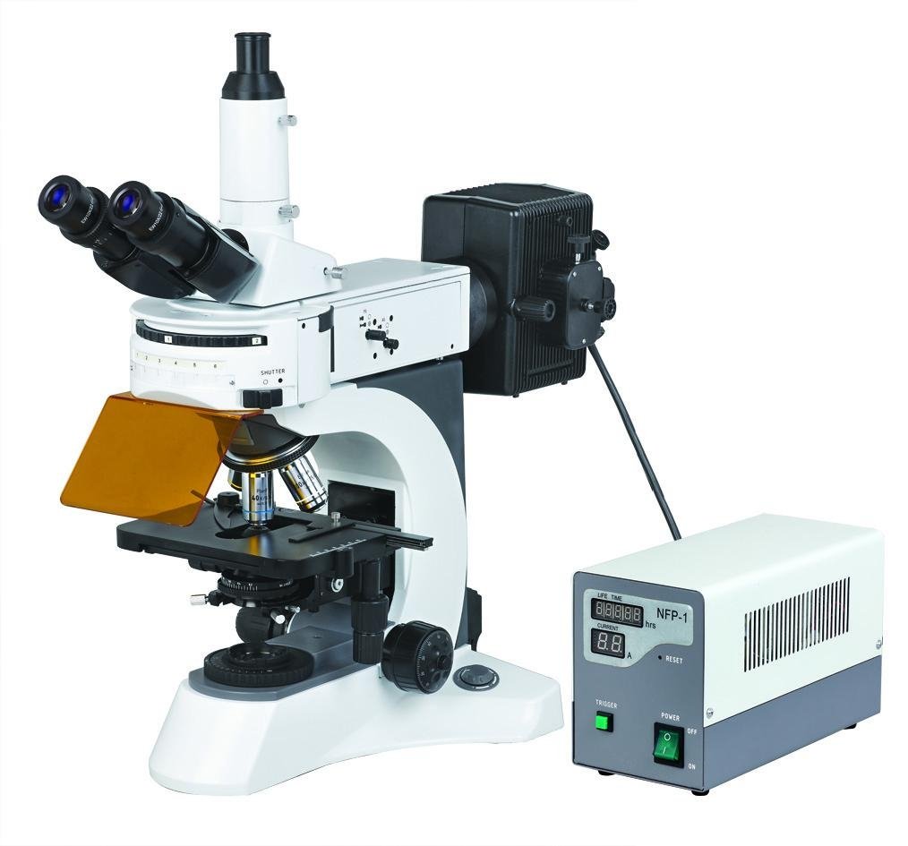 BS-7000A Fluorescent Biological Microscope