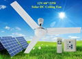 Two Years Warranty 48'' Battery Ceiling Fan 12V 25W Fan for Solar System