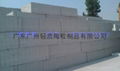 Guangzhou light bricks 2