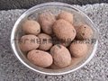 2023  广州无土栽培陶粒
