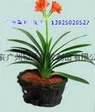 2025Dongguan ceramic packing quantity stability