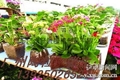 2025Foshan ceramic with good quality 3