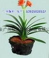 2023Foshan ceramic with good quality 4