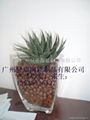 2023Guangzhou 8-12mm ceramic flowers