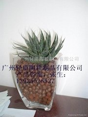 2023广州花卉陶粒