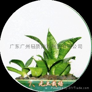 2023Guangzhou 8-12mm ceramic flowers 3