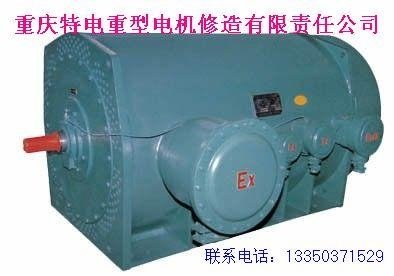 重慶煤礦化工廠用YB隔爆型電機 4