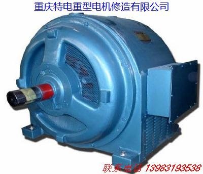 Chongqing 3-phase ac induction motor sales 3