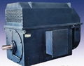 Chongqing 3-phase ac induction motor