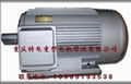 Chongqing 3-phase ac induction motor sales 4