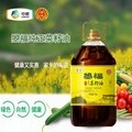 中粮曌福小榨浓香菜籽油