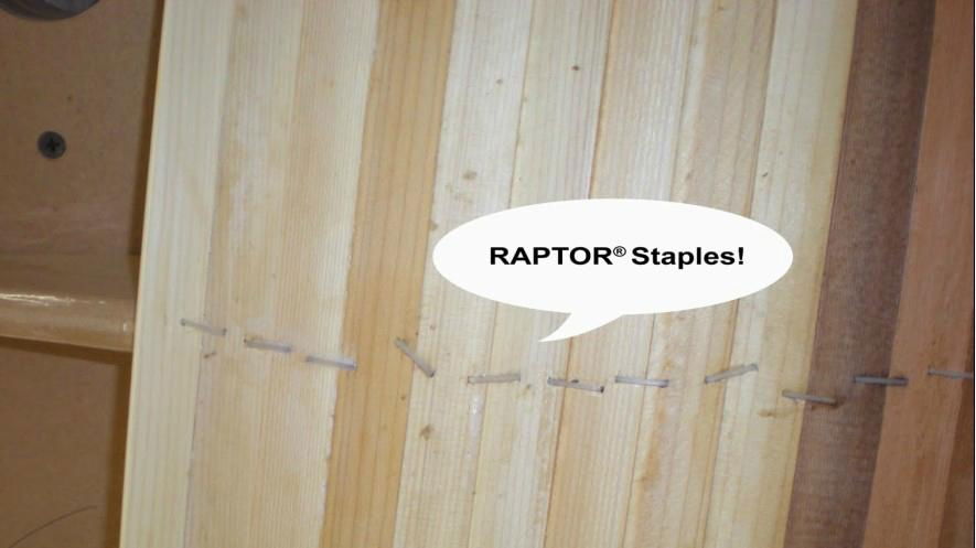 美國RAPTOR樹脂塑料釘 2