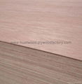 commercial plywood