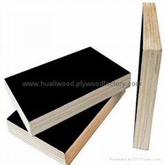 Marine plywood
