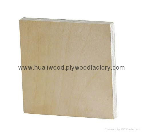 Poplar plywood 2