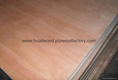 hardwood plywood