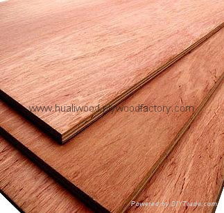 hardwood plywood 2