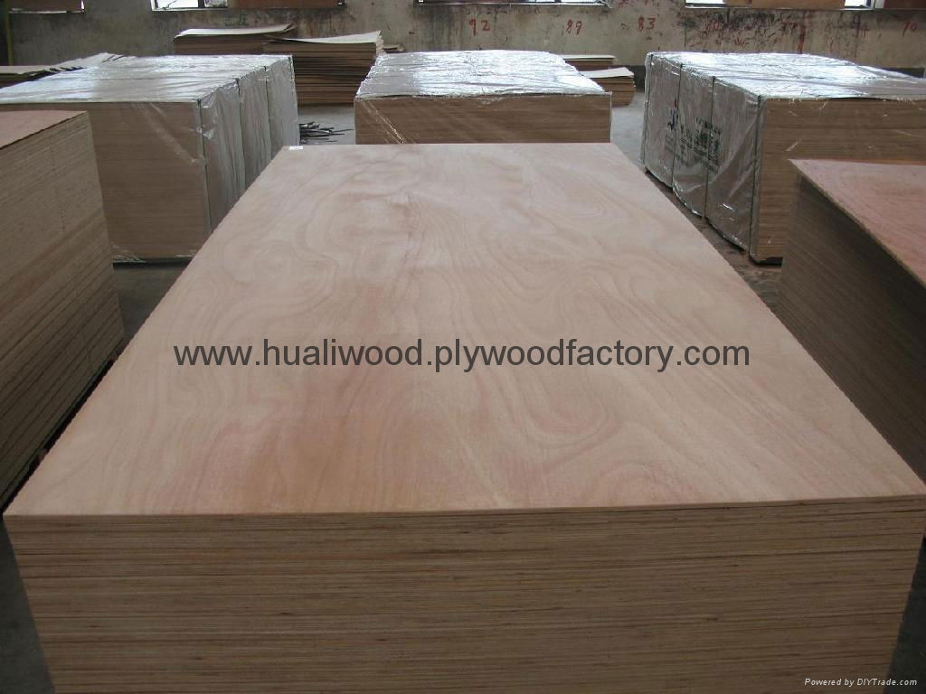 Eucalyptas plywood