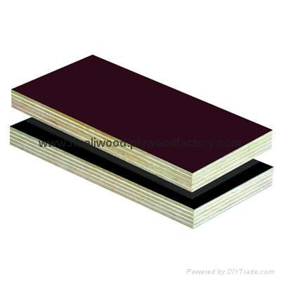 WBP PLYWOOD 5