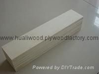 LVL plywood 4