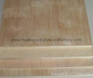 birch plywood