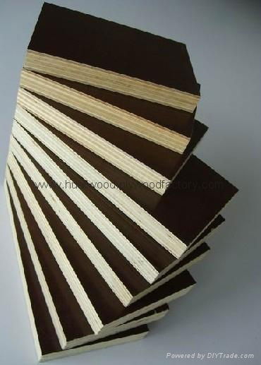 birch plywood 5