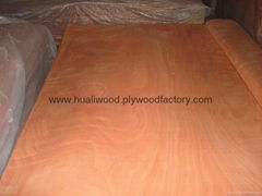 rotary cut okoume veneer 