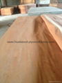 rotary cut okoume veneer  6