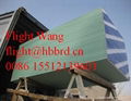 Gypsum board