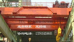 YZ Ladle Crane