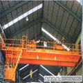 QD Overhead Crane with Hook 4