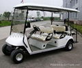 6-seat golf carts 2