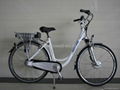 electric bicycles 1