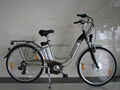 Electric Bike  2