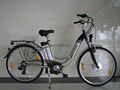 Electric Bike  1