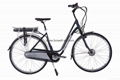 Electric Bicycle